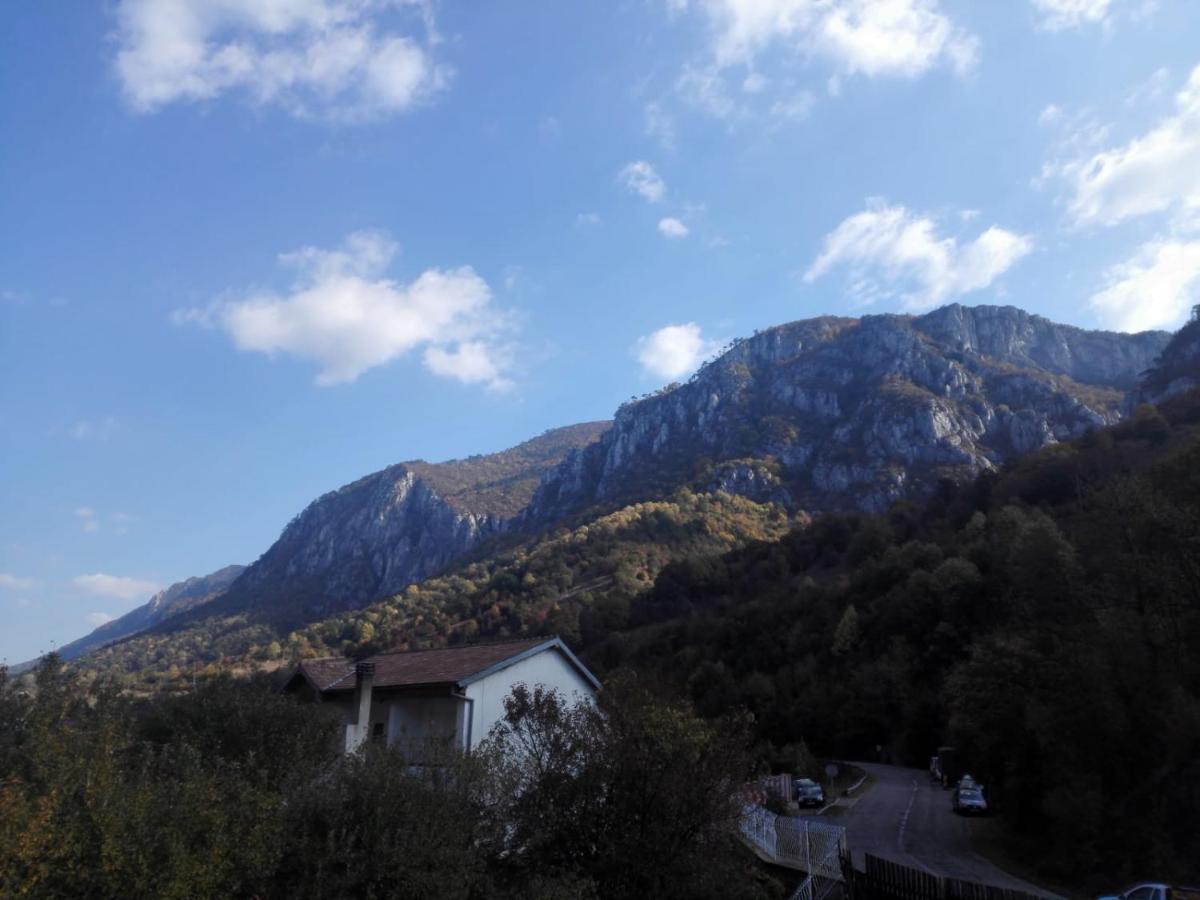 Vila Ana Băile Herculane Dış mekan fotoğraf