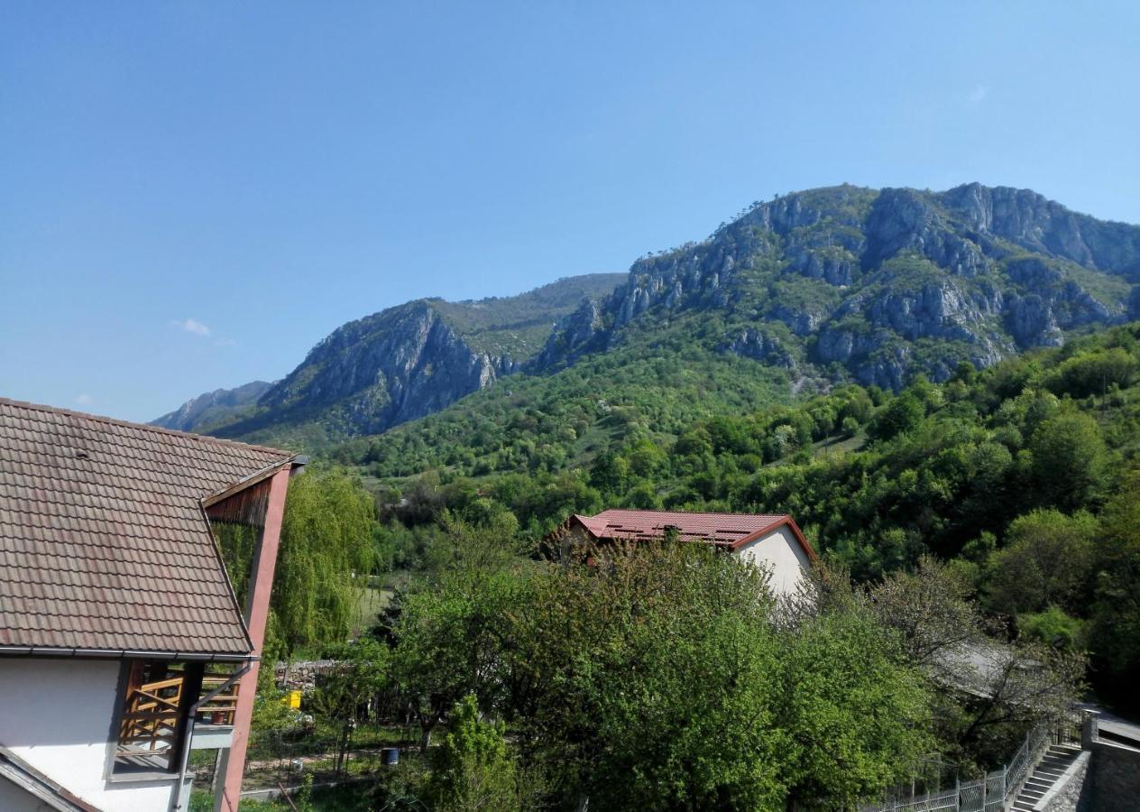 Vila Ana Băile Herculane Dış mekan fotoğraf
