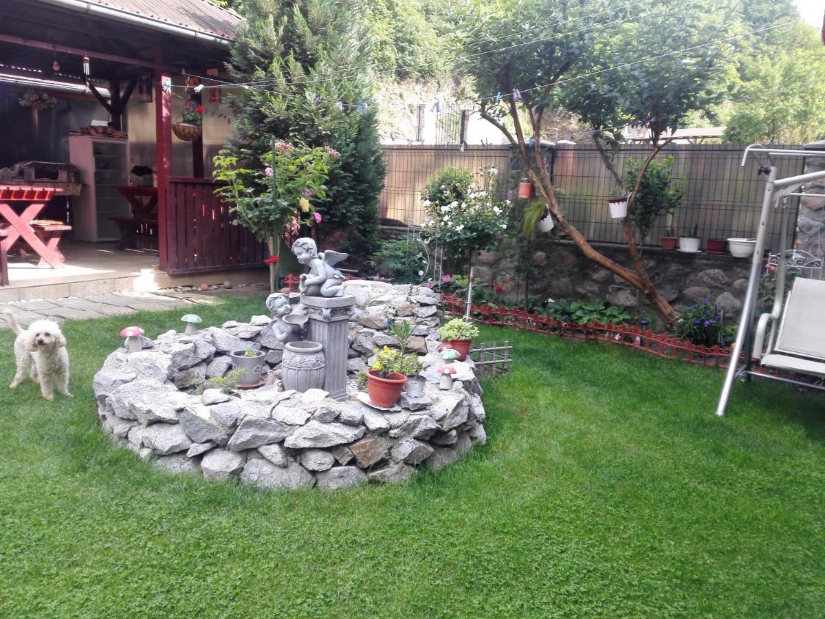 Vila Ana Băile Herculane Dış mekan fotoğraf
