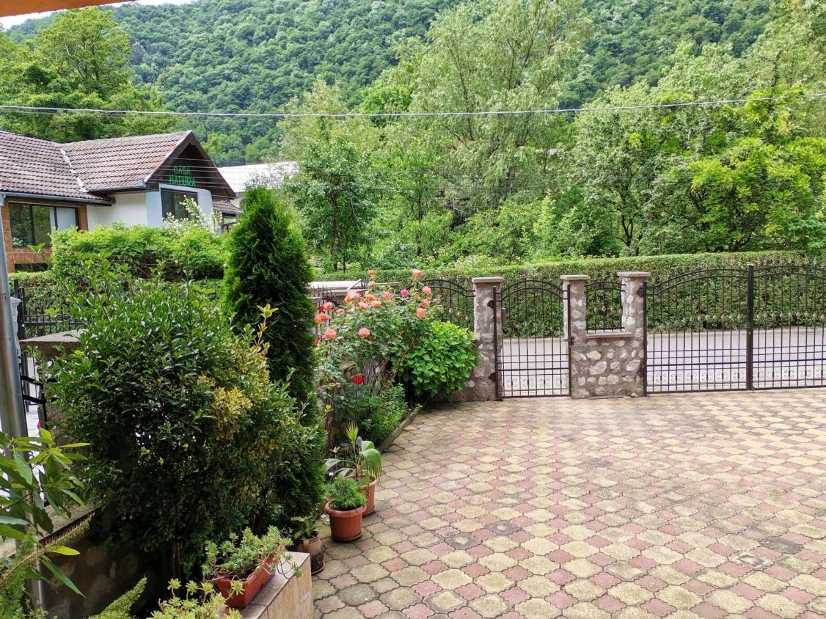 Vila Ana Băile Herculane Dış mekan fotoğraf