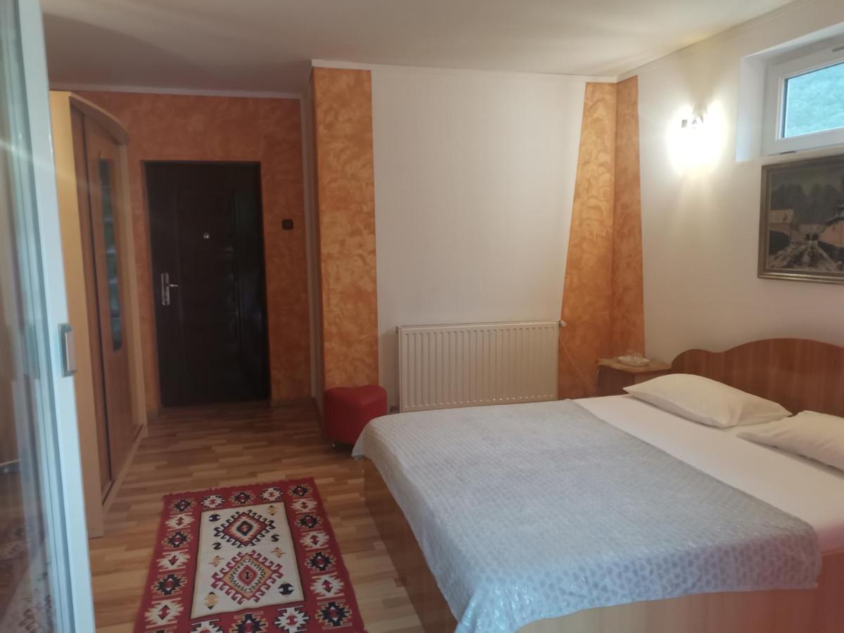 Vila Ana Băile Herculane Oda fotoğraf