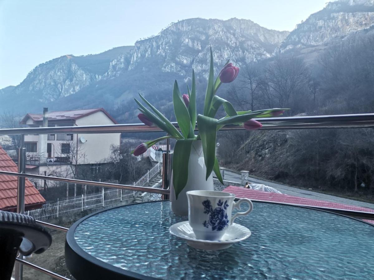 Vila Ana Băile Herculane Dış mekan fotoğraf