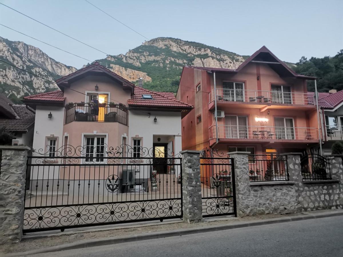 Vila Ana Băile Herculane Dış mekan fotoğraf