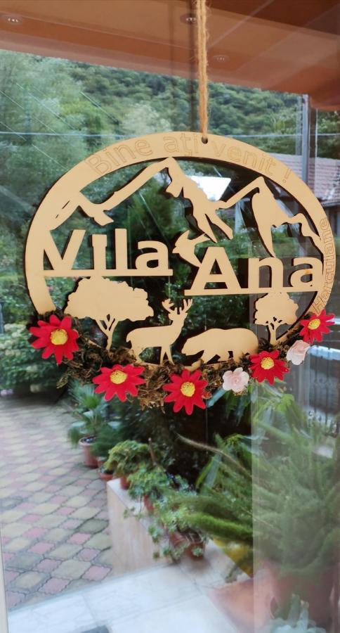 Vila Ana Băile Herculane Dış mekan fotoğraf