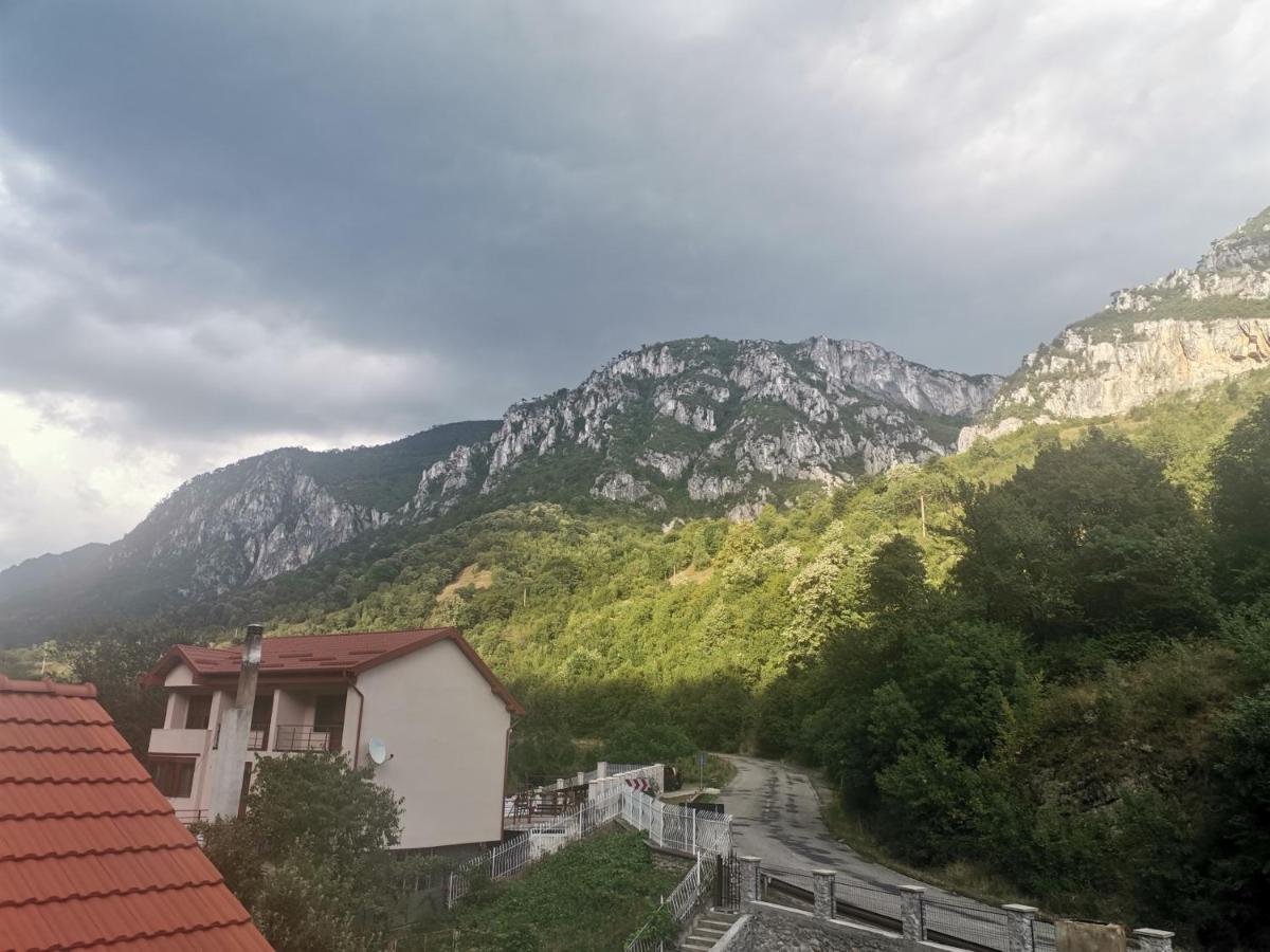 Vila Ana Băile Herculane Dış mekan fotoğraf