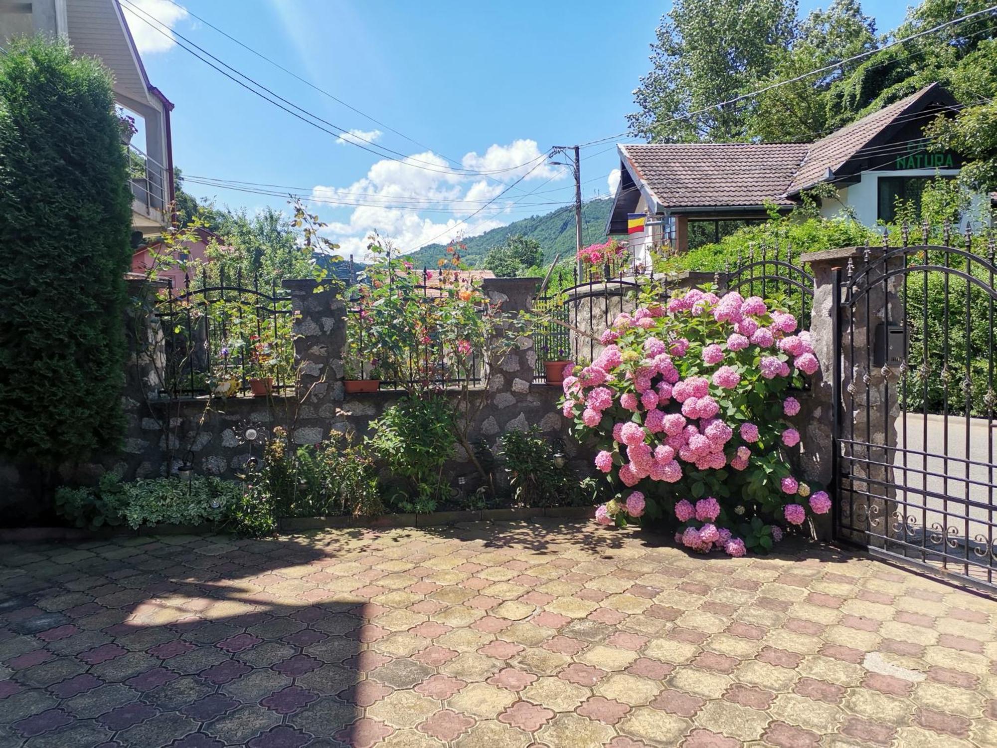 Vila Ana Băile Herculane Dış mekan fotoğraf